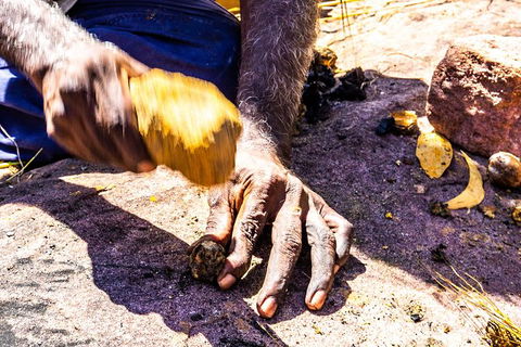 Wandjina Explorer - Incredible Kimberley Coast Tour - Accommodation Port Hedland 1