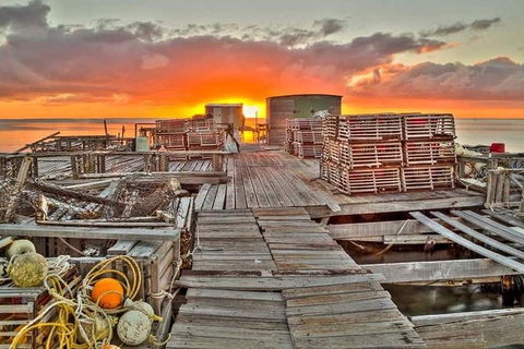 Abrolhos Islands 3 Day Fishing Charter - Accommodation Port Hedland 5