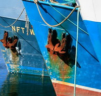 Photography Tour of Historical Fremantle and Street Art. - Accommodation Port Hedland