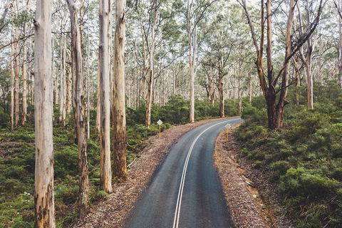 All Inclusive Surf Camp In Margaret River Region - Accommodation Port Hedland 2