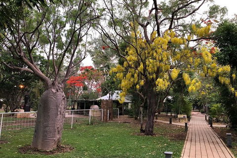 Kimberley Explorer - Geikie Gorge, Windjana Gorge, Mt Hart, Cape Leveque - Accommodation Port Hedland 6