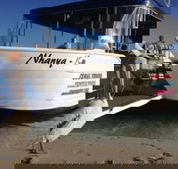 Coral Bay 1-Hour Coral Viewing - Accommodation Port Hedland