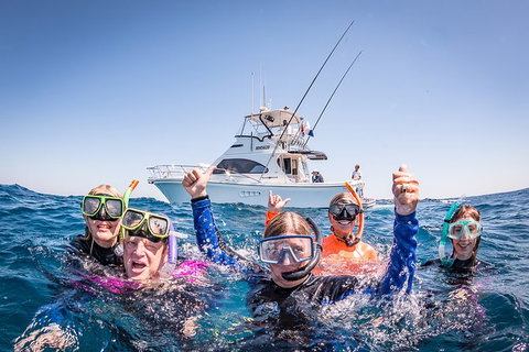 Life On Ningaloo Swimming Tour In Exmouth - Accommodation Port Hedland 4