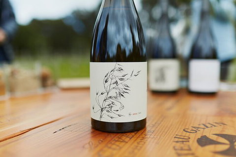 Organic Vineyard/Farm Tour - Accommodation Port Hedland 8