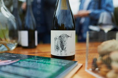 Organic Vineyard/Farm Tour - Accommodation Port Hedland 5