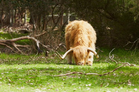 Organic Vineyard/Farm Tour - Accommodation Port Hedland 2