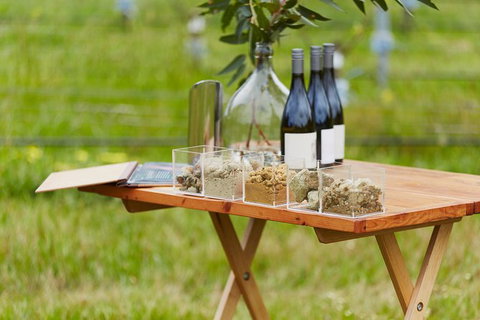 Organic Vineyard/Farm Tour - Accommodation Port Hedland 3