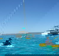 5 Night Ningaloo Reef Ningaloo Escape from Coral Bay - Accommodation Port Hedland