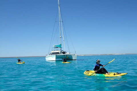 5 Night Ningaloo Reef Ningaloo Escape From Coral Bay - Accommodation Port Hedland 0