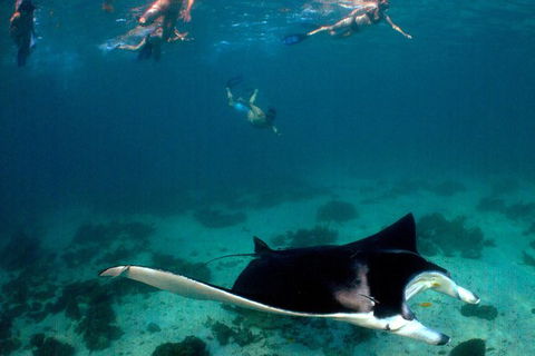 5 Night Ningaloo Reef Ningaloo Escape From Coral Bay - Accommodation Port Hedland 1