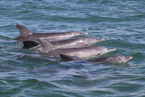Romance Cruise + Scenic Tour + Beer Tasting + 3 Course Lunch + Hamper - Accommodation Port Hedland 7
