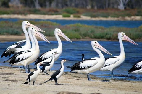 Romance Cruise + Scenic Tour + Beer Tasting + 3 Course Lunch + Hamper - Accommodation Port Hedland 5