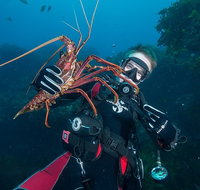 Rottnest Island Deep Dive Day Trips - Accommodation Port Hedland