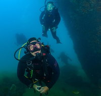 Scuba Dive The Beautiful Rottnest Island - Accommodation Port Hedland