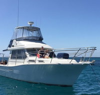 Single Boat Dive - Accommodation Port Hedland