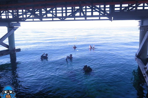 PADI Open Water Course - Accommodation Port Hedland 3