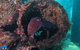 PADI Open Water Course - thumb 1