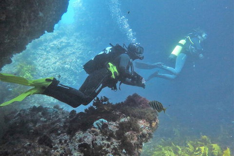 PADI Open Water Course - Accommodation Port Hedland 2