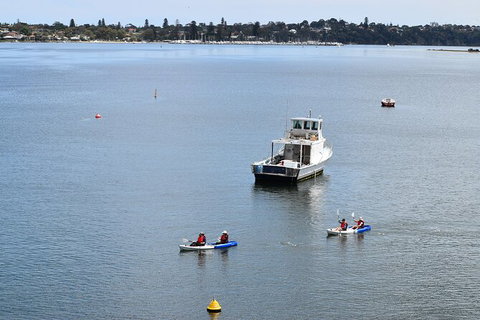 Cliffs And Caves Kayak Tour In Swan River - Accommodation Port Hedland 5