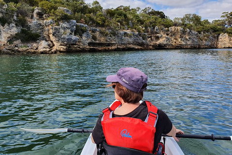 Cliffs And Caves Kayak Tour In Swan River - Accommodation Port Hedland 1