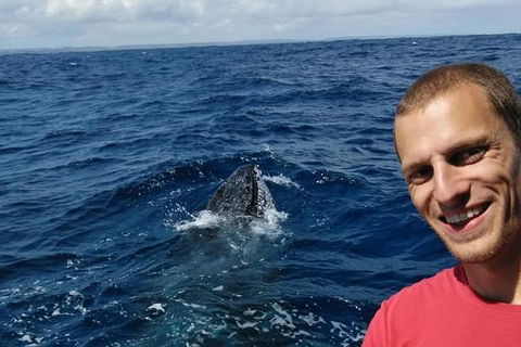 Whale Watching Boat Tour In Geraldton - Accommodation Port Hedland 2