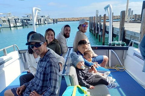 Whale Watching Boat Tour In Geraldton - Accommodation Port Hedland 1
