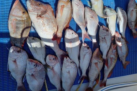 Geraldton Fishing Charter - Accommodation Port Hedland 7