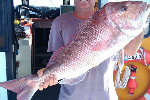 Geraldton Fishing Charter - Accommodation Port Hedland 10