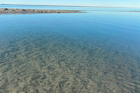 The Island Sandbar Experience - Accommodation Port Hedland 4