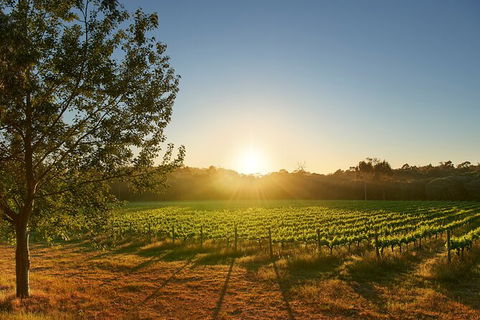 Private Barrel Hall Wine Tasting In The Margaret River Region - Accommodation Port Hedland 3