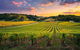 Swan Valley Sunset Wine Tour - Premium Small Group Tour - thumb 0