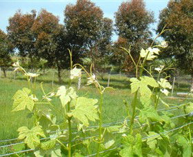 Ondit VIC Accommodation Port Hedland