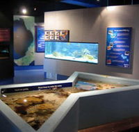 Marine and Freshwater Discovery Centre - Accommodation Port Hedland