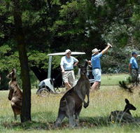 Glen Innes Golf Club - Accommodation Port Hedland