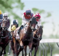 Colac Turf Club - Accommodation Port Hedland