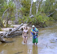 Tjuwaliyn / Douglas Hot Springs Park - Accommodation Port Hedland