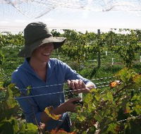 Kingsdale Wines - Accommodation Port Hedland