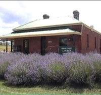 Lavender House in Railway Park - Accommodation Port Hedland