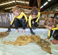 Australian Shark and Ray Centre - Accommodation Port Hedland
