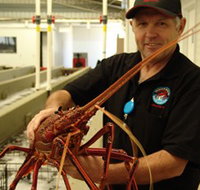 Lobster Shack - Accommodation Port Hedland