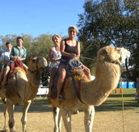 Calamunnda Camel Farm - Accommodation Port Hedland