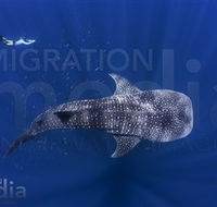 Migration Media - Accommodation Port Hedland