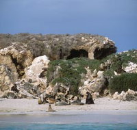 Jurien Bay Marine Park - Accommodation Port Hedland