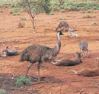 Hammond Park - Accommodation Port Hedland