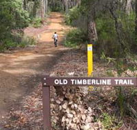 Old Timberline and Sidings Rail Trails - Accommodation Port Hedland