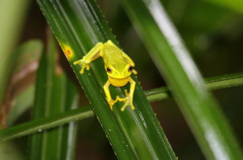 Daintree River Cruise Centre - Accommodation Port Hedland 0