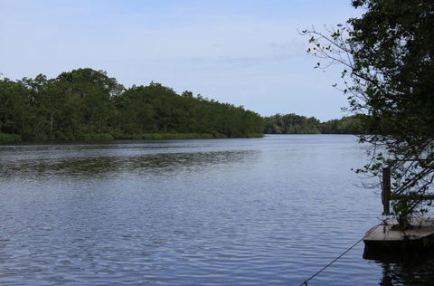 Daintree River Cruise Centre - Accommodation Port Hedland 2