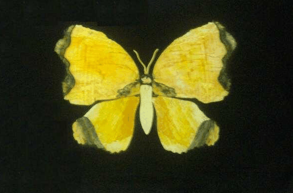 Ashworths - Accommodation Port Hedland