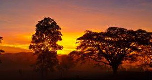 Ingan Tours - Spirit Of The Rainforest Tour - Accommodation Port Hedland 3