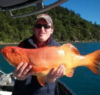 Gone Fishing by Coral Sea Fishing Charters Airlie Beach - Accommodation Port Hedland